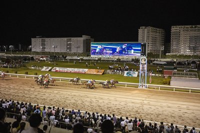 🏇 가와사키 경마장 (카와사키 케이바조)